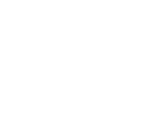 VOIP phone icon