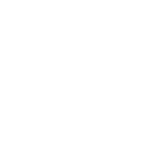 shield globe icon | what is fibre